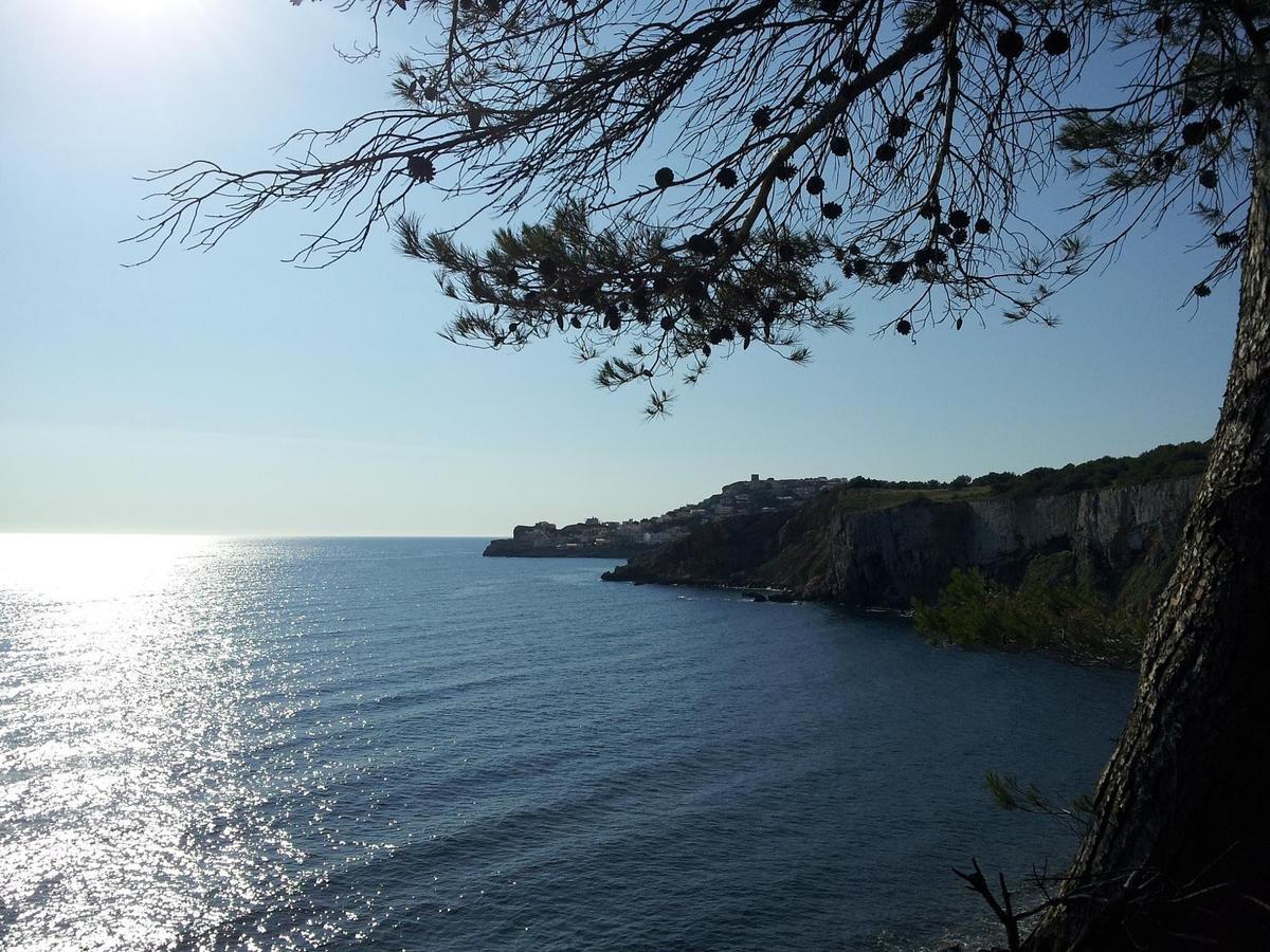 Mar Blau L'Escala Διαμέρισμα Εξωτερικό φωτογραφία